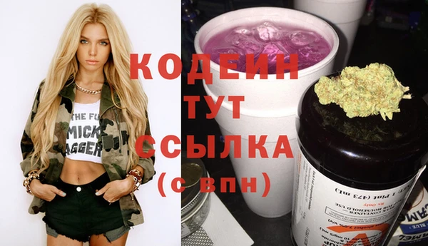спиды Аша